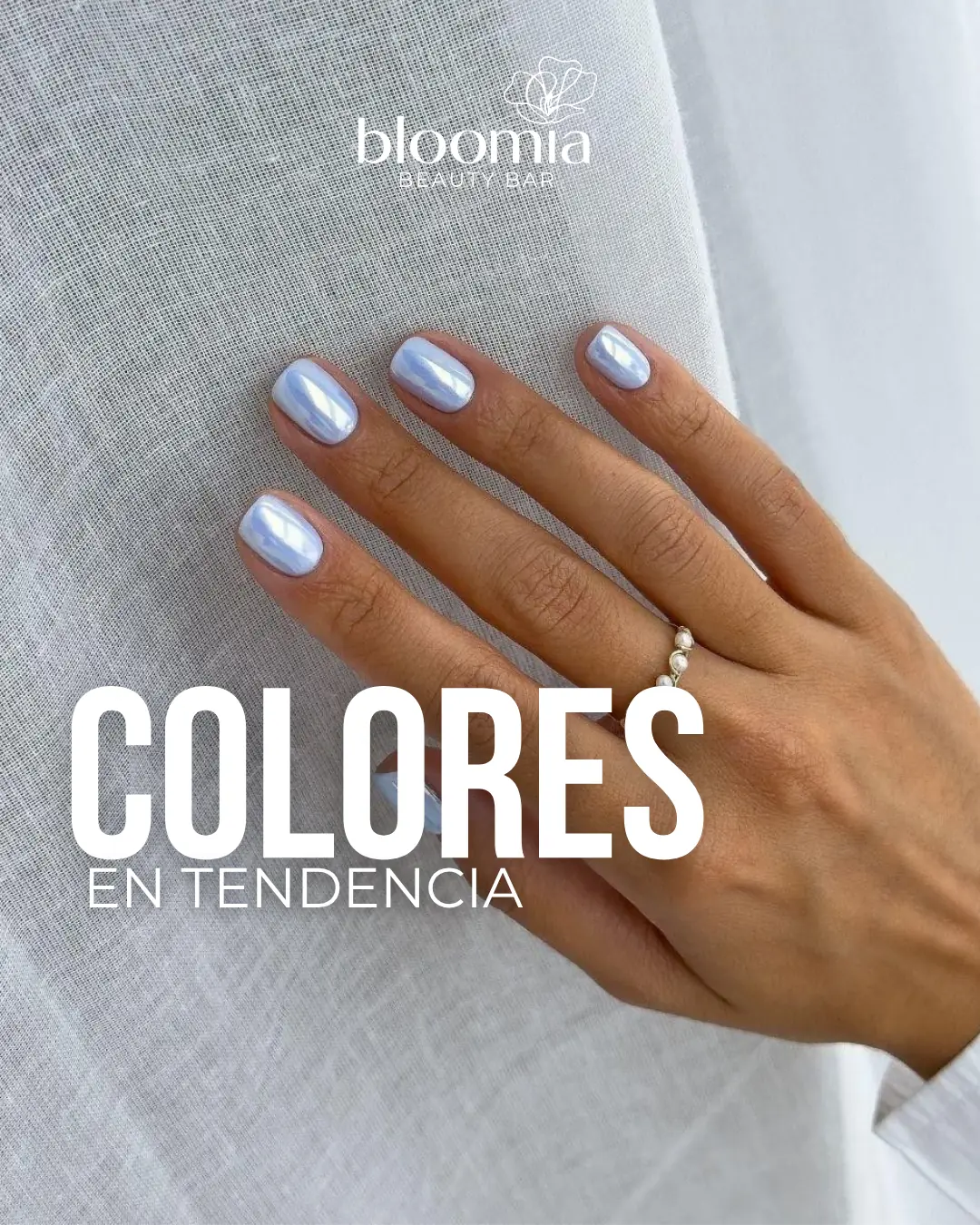 Contenido Bloomia 38 de Bloomia, lámina 1