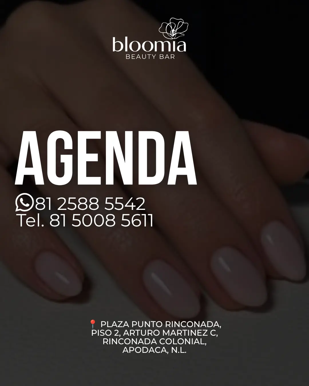Contenido Bloomia 46 de Bloomia, lámina 1