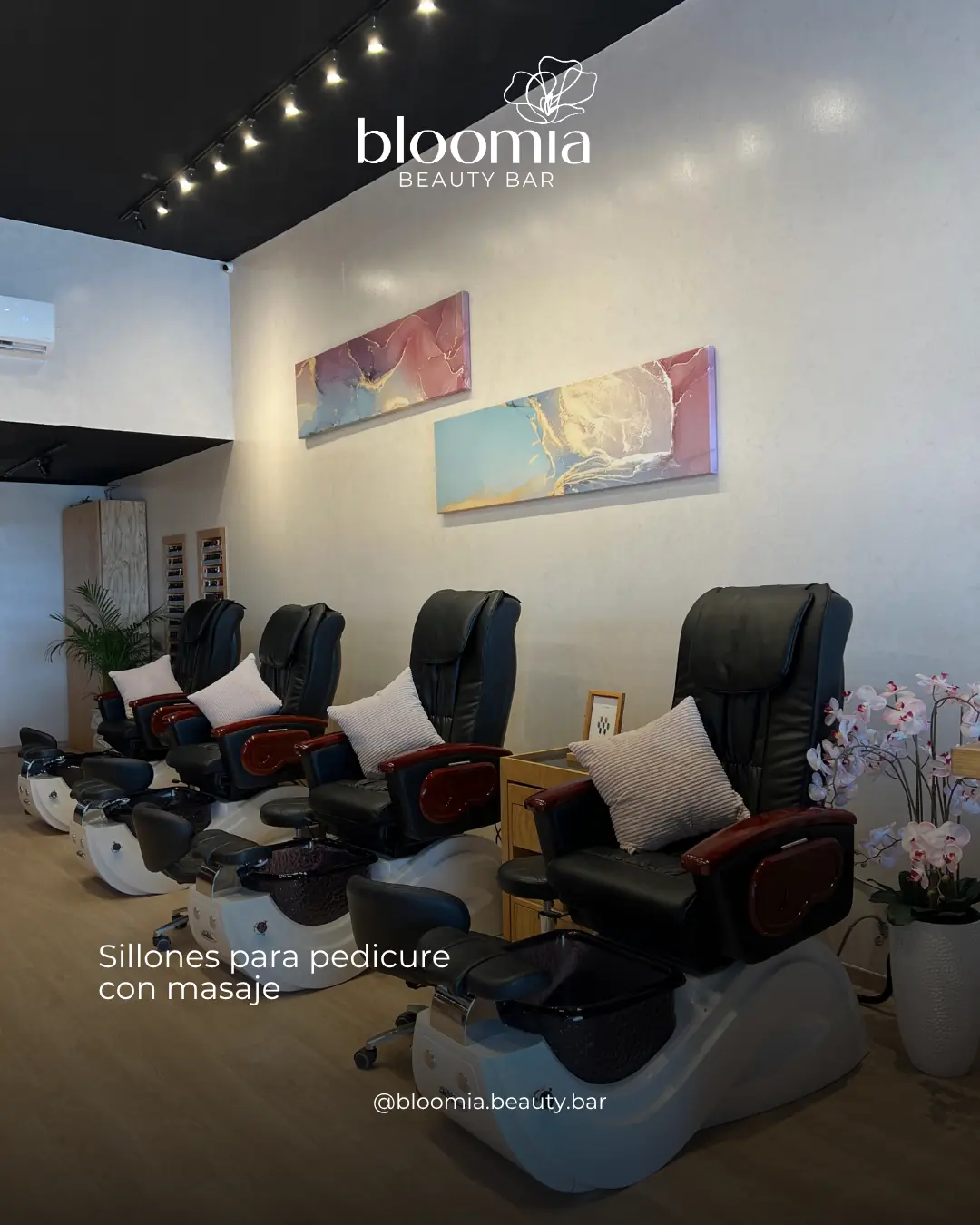 Contenido Bloomia 50 de Bloomia, lámina 1