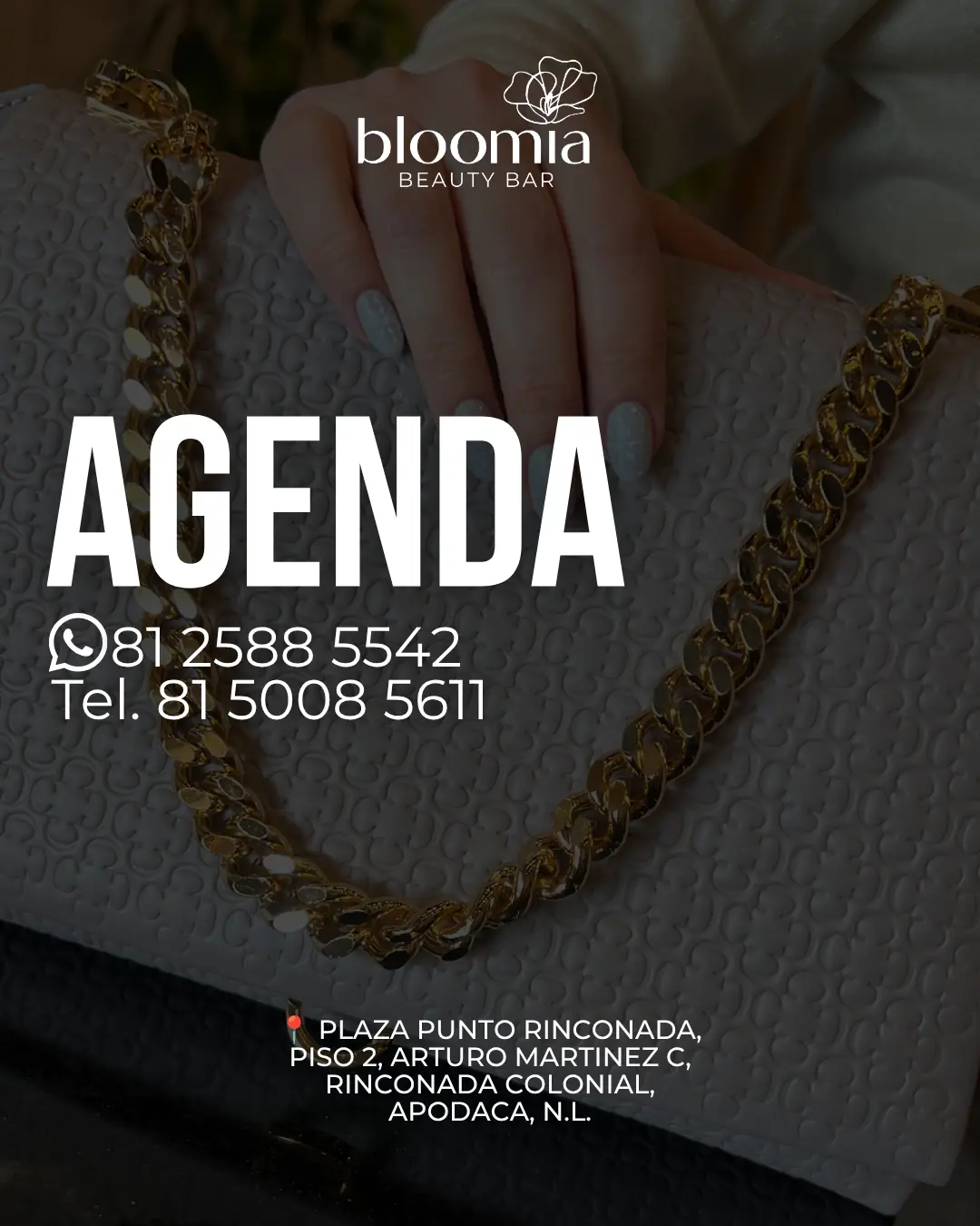 Contenido Bloomia 66 de Bloomia, lámina 1