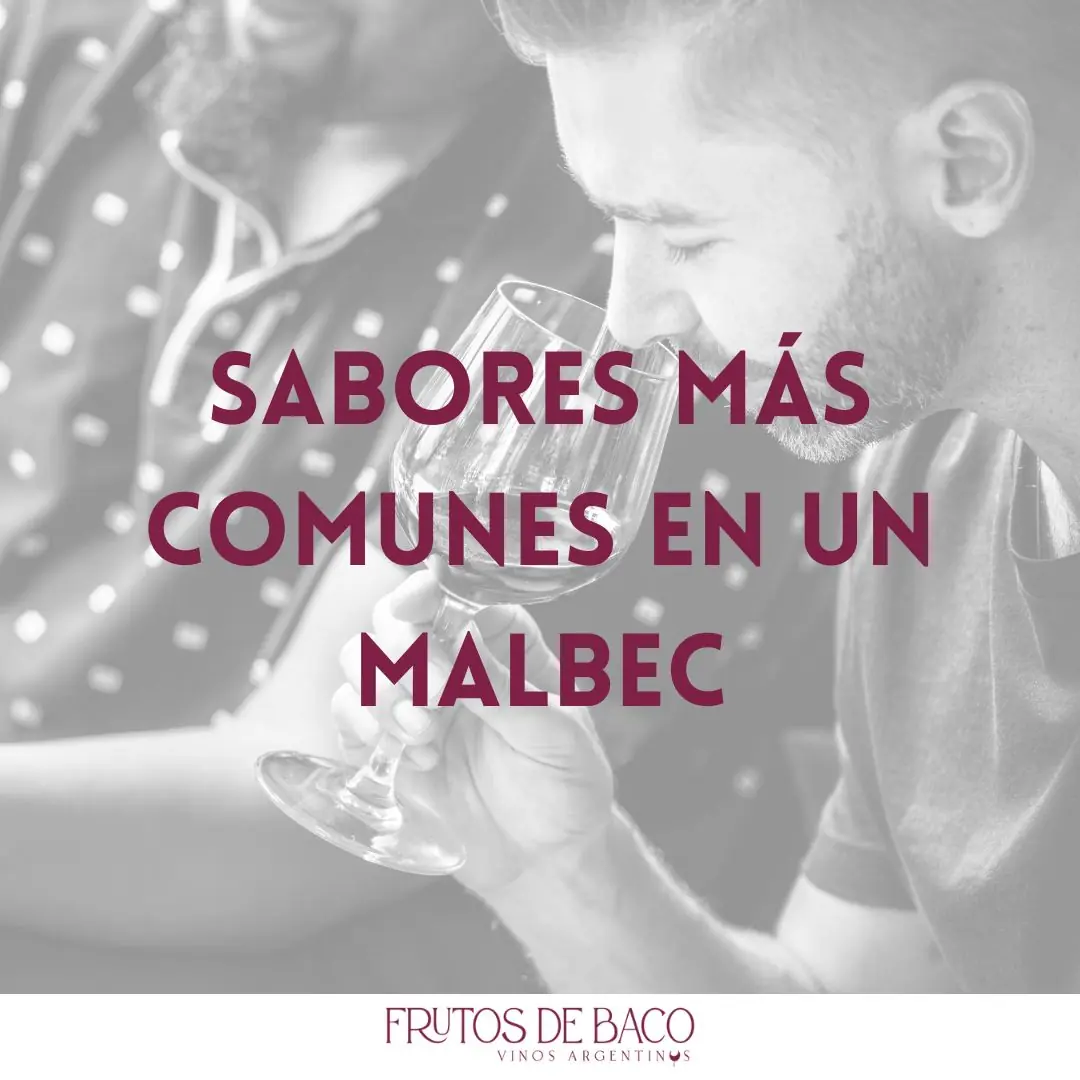Contenido Frutos de Baco 04 de Frutos de Baco, lámina 1